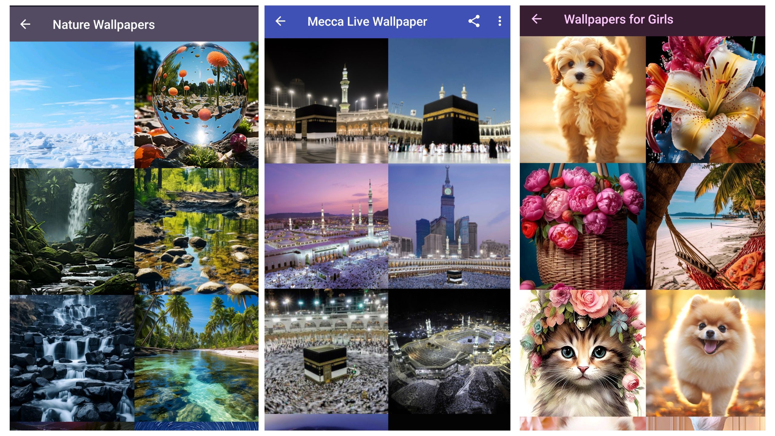 Wallpapers Pack (14 apps)
